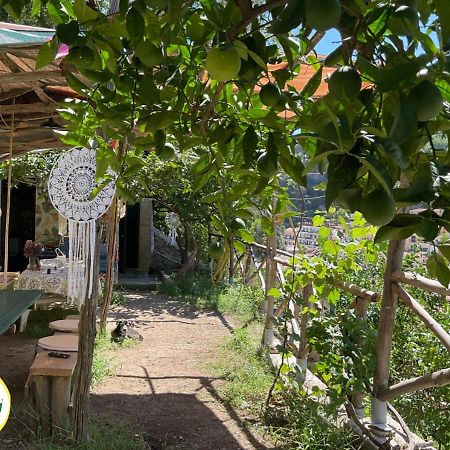 Hotel Cetara Camping Amalfitan Coast Exteriér fotografie